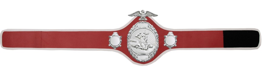 MMA CHAMPIONSHIP BELT- PRO288/S/MMAS - 10 COLOURS MMA CHAMPIONSHIP BELT- PRO288/S/MMAS - 10 COLOURS